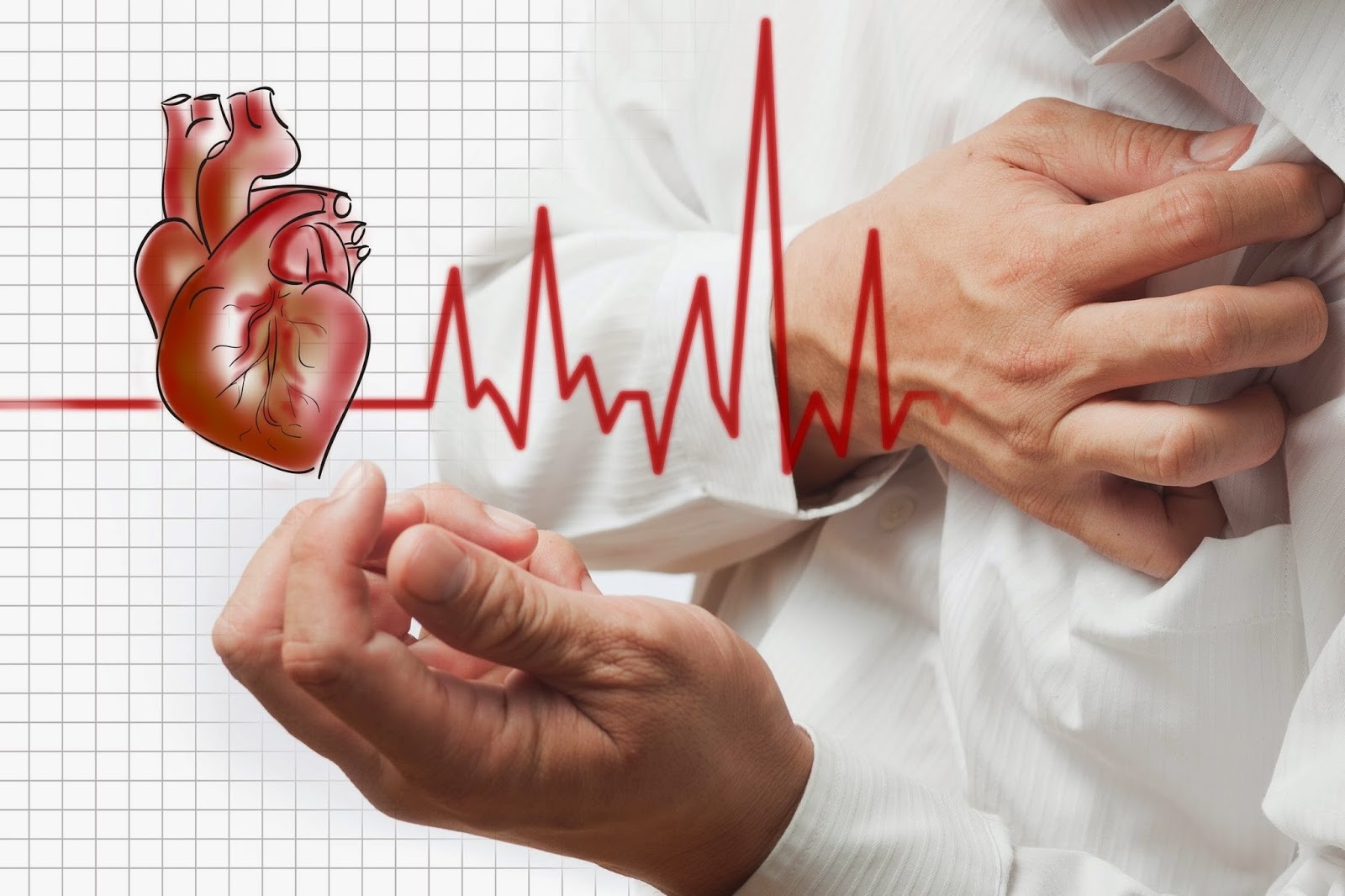 Thực phẩm tốt cho sức khỏe tim mạch của người cao tuổi